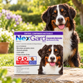 NexGard 136 mg para perros de 25,1 a 50 kg, caja de 3 comprimidos masticables