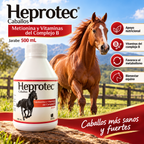 Heprotec Caballos 500 mL, metionina y vitaminas del complejo B (imagen adicional del producto)