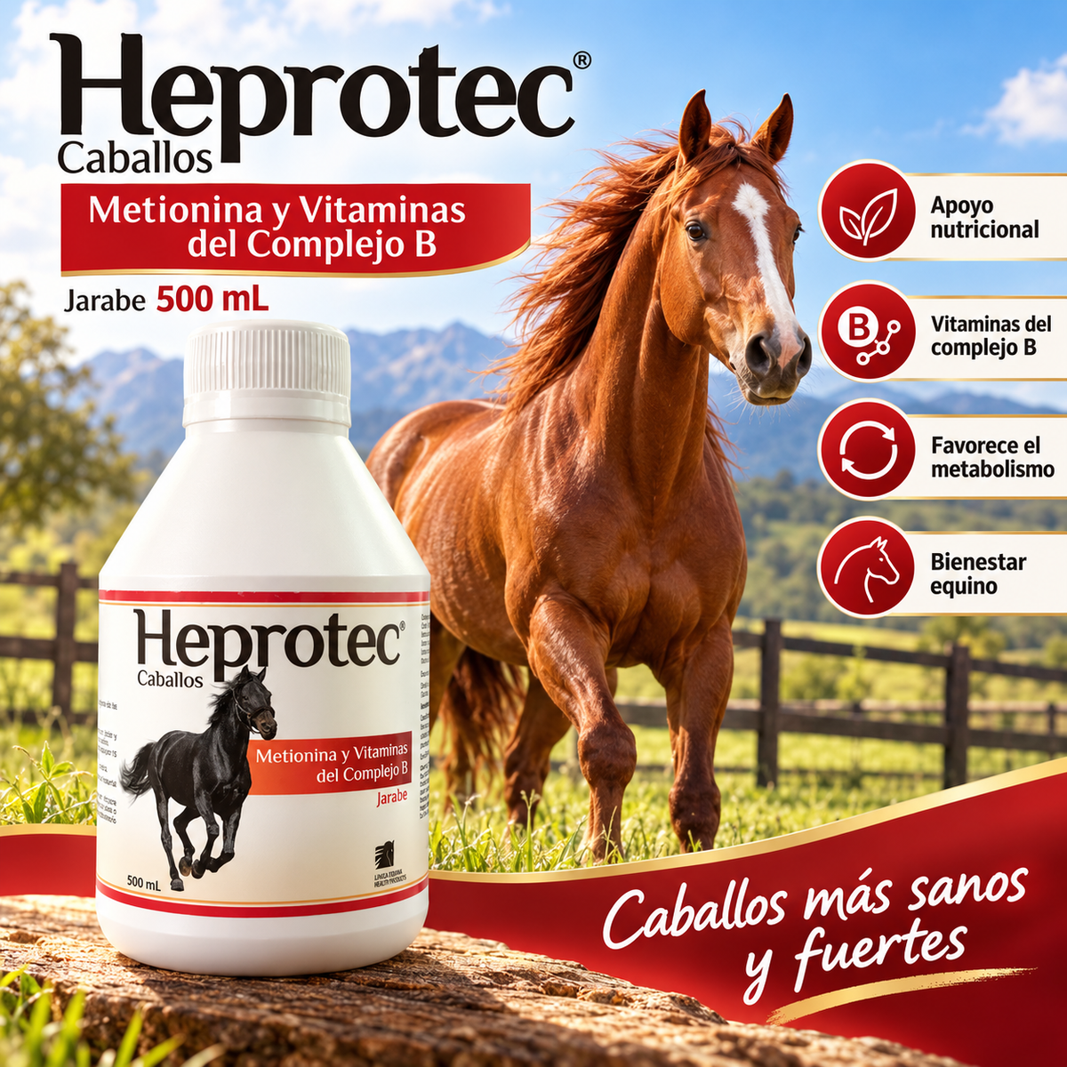Heprotec Caballos 500 mL, metionina y vitaminas del complejo B (imagen adicional del producto)