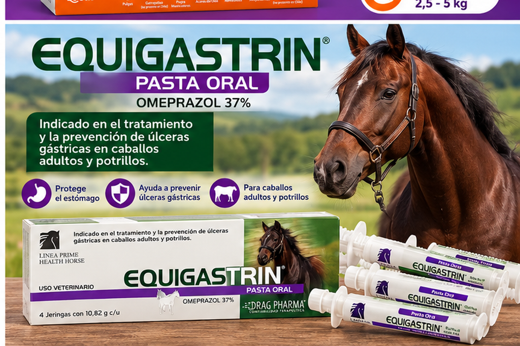Equigastrin Pasta Oral Omeprazol 37% – 4 Jeringas | farmaciavethuelquen.com