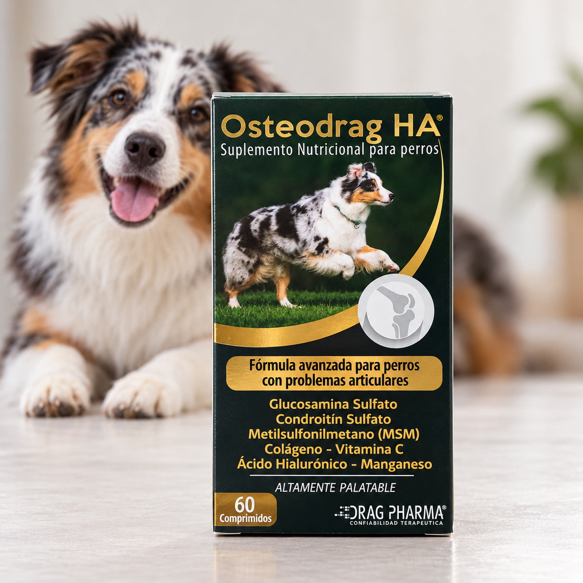 Osteodrag HA – | 60 comprimidos