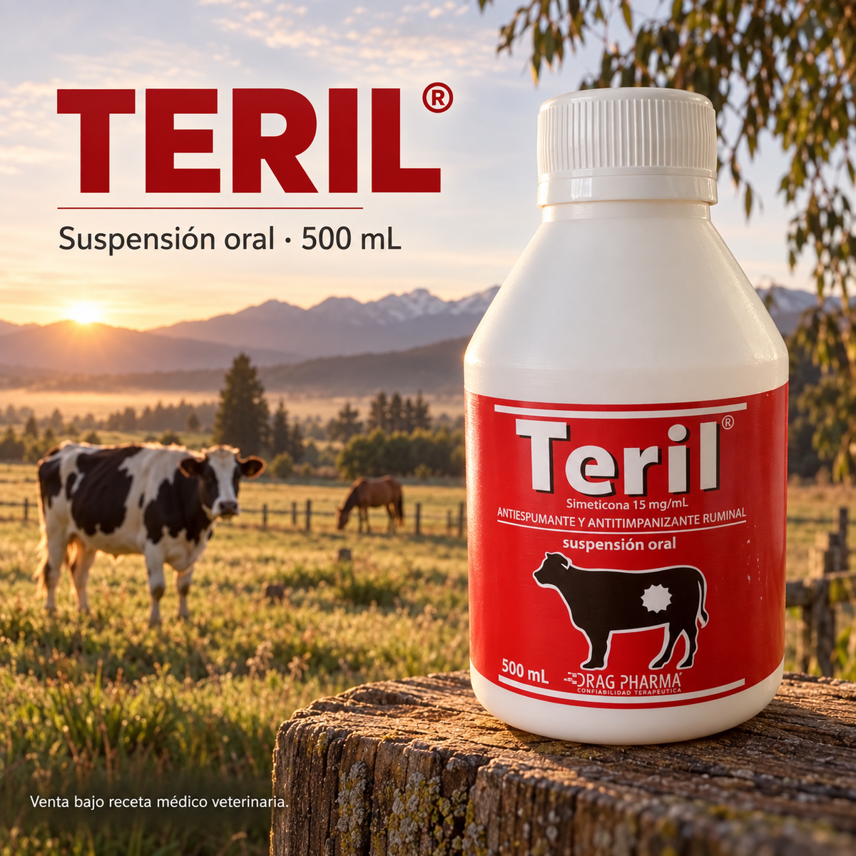 Teril 500 mL, suspensión oral con simeticona de Drag Pharma (imagen adicional del producto)