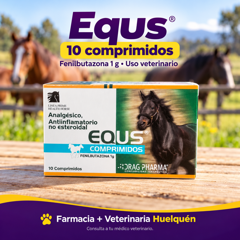 Equs 1 g, 10 comprimidos para caballos de Drag Pharma (imagen adicional del producto)