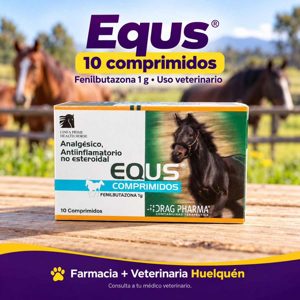 Equs 1 g, 10 comprimidos para caballos de Drag Pharma (imagen adicional del producto)